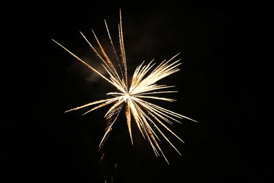 Low angle view of fireworks in sky at night