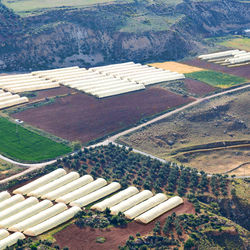 High angle view of agricultural field