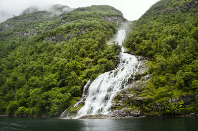 Scenic view of waterfall in forest