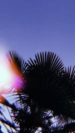 Low angle view of coconut palm tree against blue sky