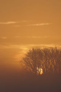 Silhouette trees by sea against romantic sky at sunset