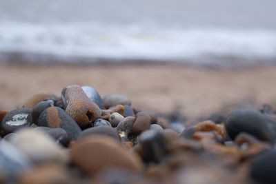 Close-up of stones on beach