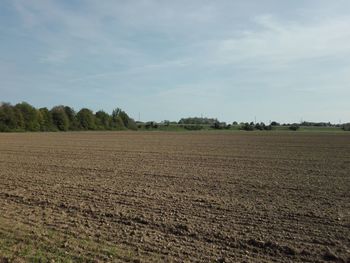 Scenic view of field against sky