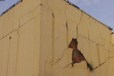 Low angle view of peeled on wall against building