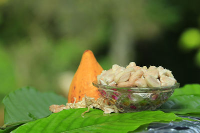 Close-up of orange rose on leaves
