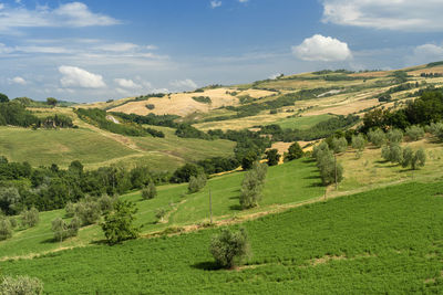 Scenic view of landscape against sky