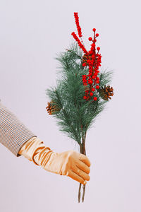 Low angle view of christmas tree against sky