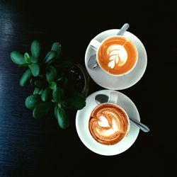 Directly above shot of coffee cups and potted plant on table