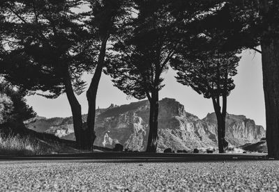 Trees by rocks against sky