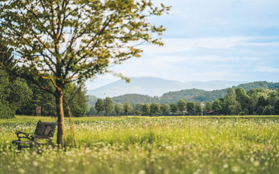 Scenic view of field against sky