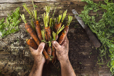 Close-up of man holding carrots