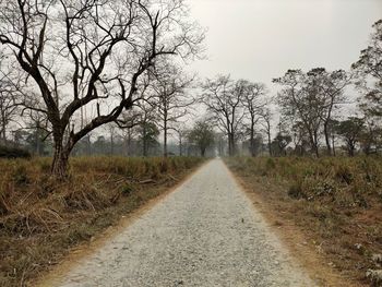 Dirt road amidst trees against sky