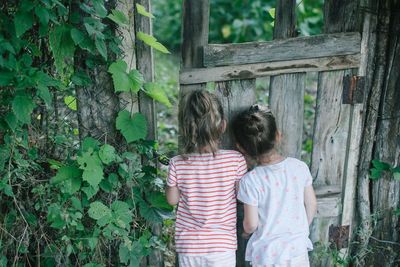 Rear view of girl standing against trees