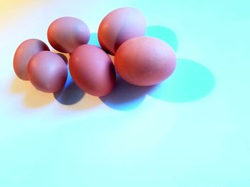 Close up of blue eggs