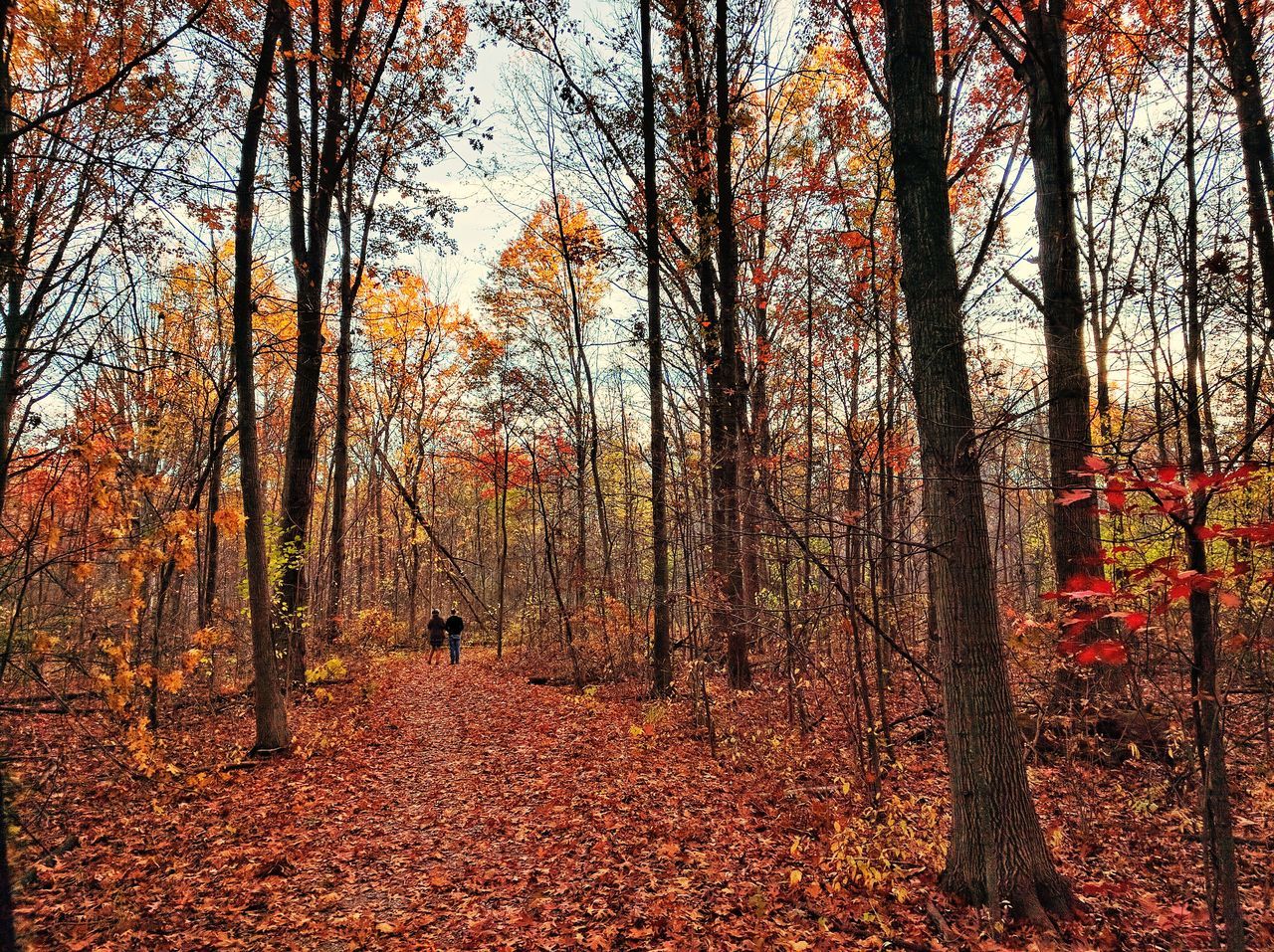 Devonwood Conservation Area