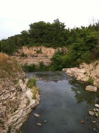 Scenic view of river by trees against sky