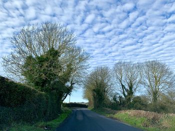 Road amidst trees on field against sky