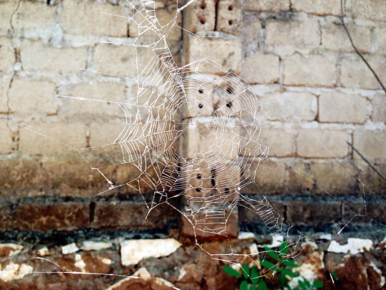 brick wall, wall - building feature, built structure, architecture, stone wall, close-up, old, building exterior, outdoors, day, wall, no people, damaged, pattern, focus on foreground, weathered, textured, plant, metal, deterioration