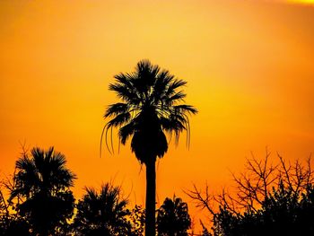 Silhouette palm trees against romantic sky at sunset