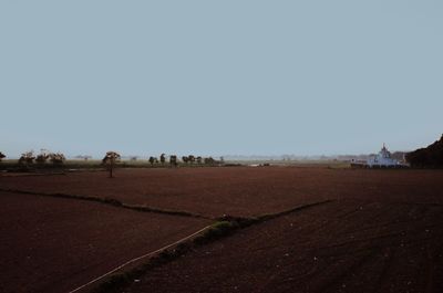 Scenic view of agricultural field against clear sky