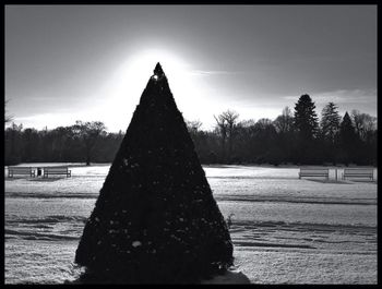 View of trees against sky