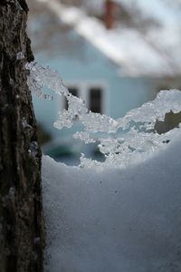 Close-up of ice on snow