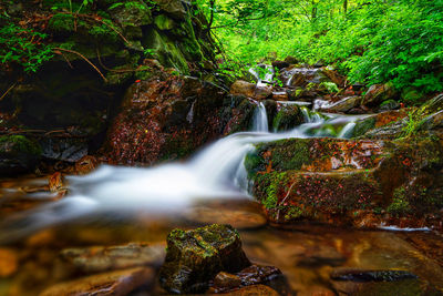 View of waterfall in forest