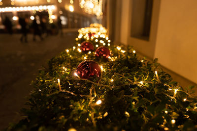 Close-up of illuminated christmas tree