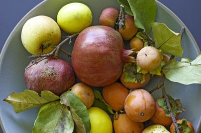 High angle view of various fruits in bowl