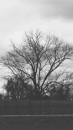 Bare trees against cloudy sky