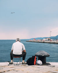 Rear view of men sitting by sea against clear sky