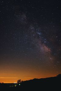 Silhouette trees against star field at night