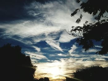 Low angle view of silhouette trees against sky during sunset