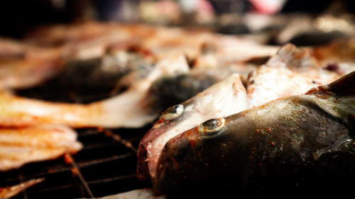 Close-up of fishes at market for sale