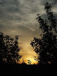 Low angle view of silhouette trees against sky at sunset