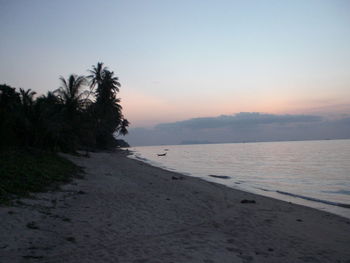 Scenic view of calm sea at sunset