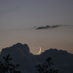 Low angle view of silhouette trees against sky at sunset