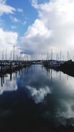 Sailboats in marina