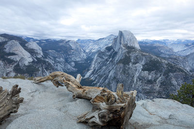 Glacier point lookout at yosemite national park in california. a weathered tree lays on the ground