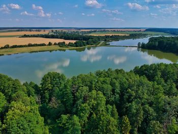 Panoramic shot of trees on landscape against sky