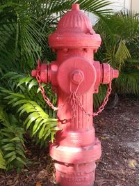 Close-up of fire hydrant by plants in park