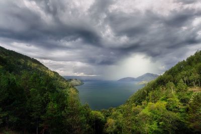 Scenic view of trees and plants against cloudy sky