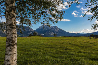 Scenic view of field and mountains against sky