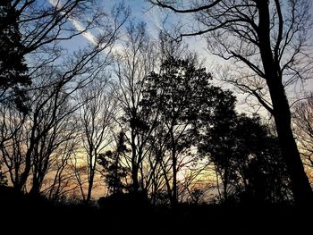 Silhouette bare trees against sky at sunset