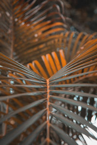Close-up of illuminated lights