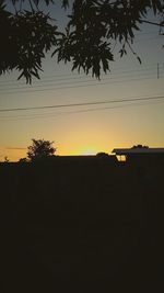 Silhouette of trees at sunset