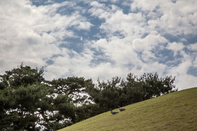 Scenic view of landscape against cloudy sky