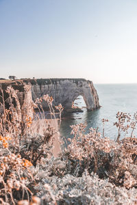 Scenic view of sea against clear sky