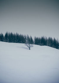 Trees on snow covered field against sky