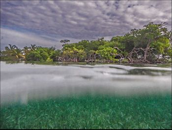 Scenic view of landscape against cloudy sky